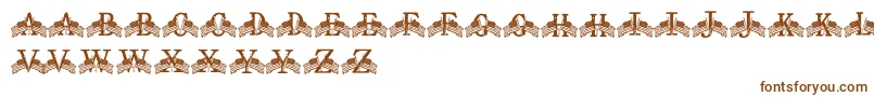 FdFlyingFlags Font – Brown Fonts on White Background