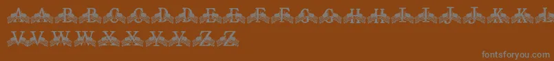 FdFlyingFlags Font – Gray Fonts on Brown Background