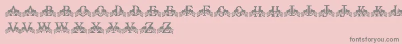 FdFlyingFlags Font – Gray Fonts on Pink Background