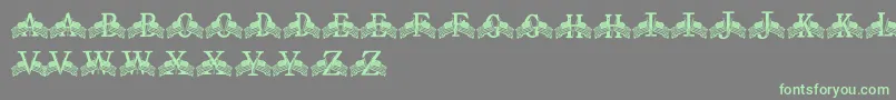 FdFlyingFlags Font – Green Fonts on Gray Background