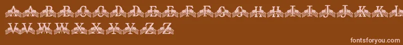 FdFlyingFlags Font – Pink Fonts on Brown Background