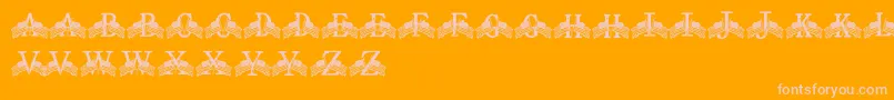 FdFlyingFlags Font – Pink Fonts on Orange Background