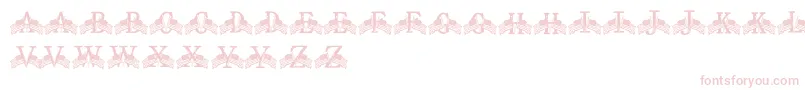 FdFlyingFlags Font – Pink Fonts on White Background