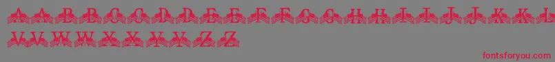 FdFlyingFlags Font – Red Fonts on Gray Background