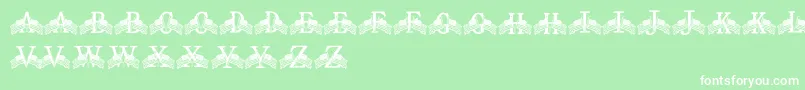 FdFlyingFlags Font – White Fonts on Green Background