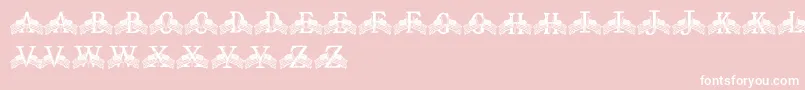 FdFlyingFlags-Schriftart – Weiße Schriften auf rosa Hintergrund