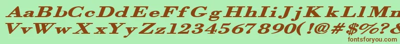 Orgrexbi Font – Brown Fonts on Green Background