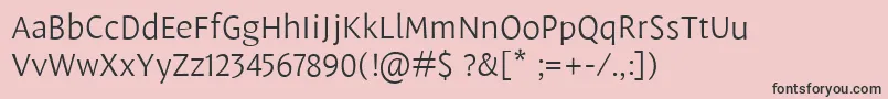 LeksasansproLight Font – Black Fonts on Pink Background