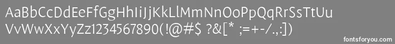 フォントLeksasansproLight – 灰色の背景に白い文字