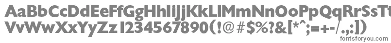ChantillyserialXboldRegular-fontti – harmaat kirjasimet valkoisella taustalla