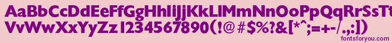 ChantillyserialXboldRegular Font – Purple Fonts on Pink Background