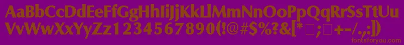 FerruleDisplaySsi Font – Brown Fonts on Purple Background