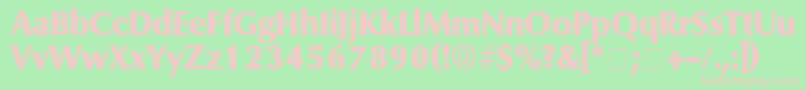 FerruleDisplaySsi Font – Pink Fonts on Green Background