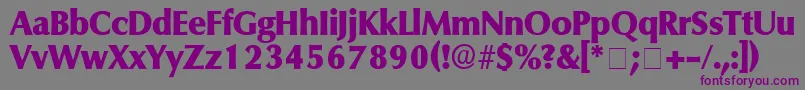 Шрифт FerruleDisplaySsi – фиолетовые шрифты на сером фоне