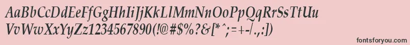 PalisadecondensedBoldItalic Font – Black Fonts on Pink Background