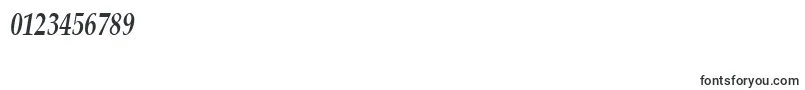 PalisadecondensedBoldItalic Font – Fonts for Numbers and Digits