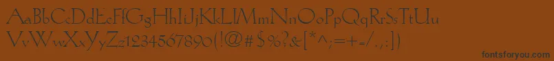 KochAntiquaLt Font – Black Fonts on Brown Background