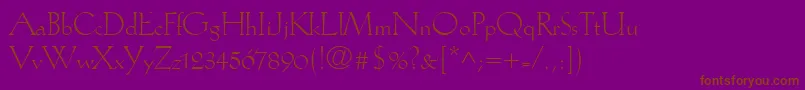 KochAntiquaLt Font – Brown Fonts on Purple Background