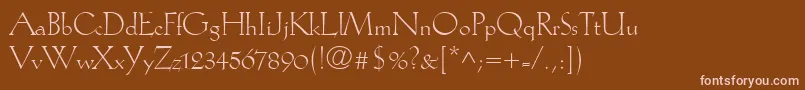 KochAntiquaLt Font – Pink Fonts on Brown Background