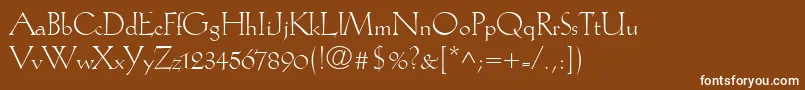 KochAntiquaLt Font – White Fonts on Brown Background