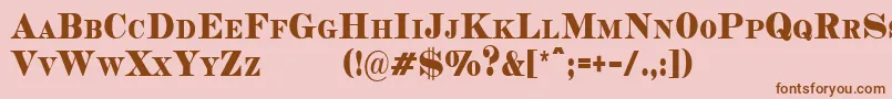 CopperheadCondensedDemo Font – Brown Fonts on Pink Background