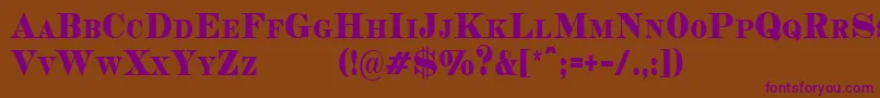 CopperheadCondensedDemo Font – Purple Fonts on Brown Background