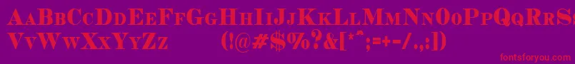 CopperheadCondensedDemo Font – Red Fonts on Purple Background