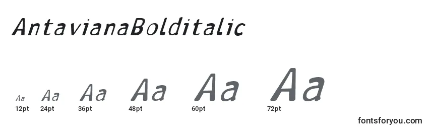 Размеры шрифта AntavianaBolditalic