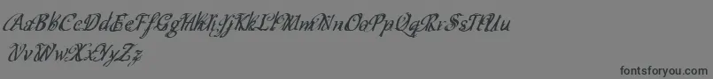 Cfschizophreniapersonaluse Font – Black Fonts on Gray Background
