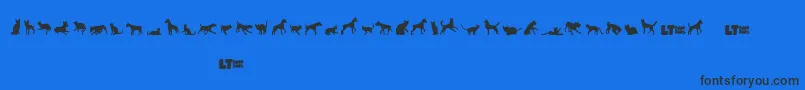 Catsvsdogslt Font – Black Fonts on Blue Background