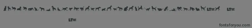 Catsvsdogslt Font – Black Fonts on Gray Background