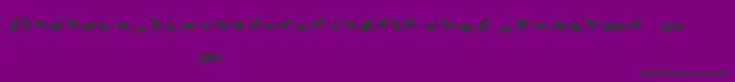 Catsvsdogslt Font – Black Fonts on Purple Background