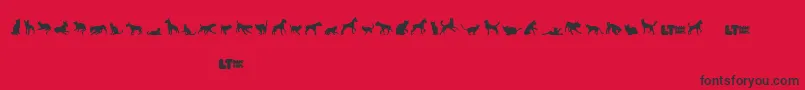 Catsvsdogslt Font – Black Fonts on Red Background