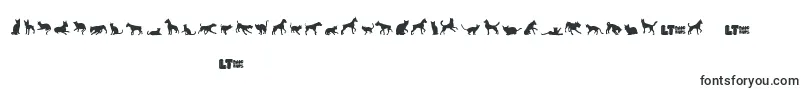 Шрифт Catsvsdogslt – шрифты для Sony Vegas Pro