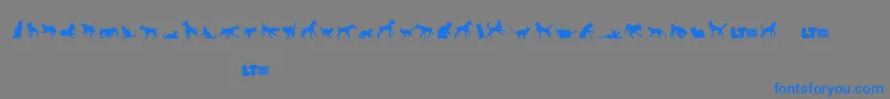 Catsvsdogslt Font – Blue Fonts on Gray Background