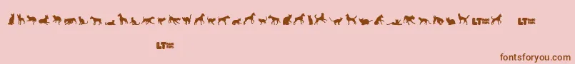 Catsvsdogslt Font – Brown Fonts on Pink Background