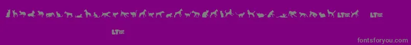 Catsvsdogslt Font – Gray Fonts on Purple Background