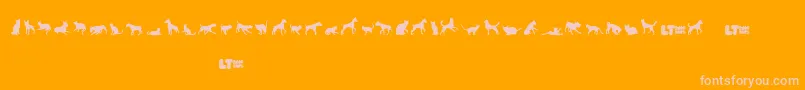 Catsvsdogslt Font – Pink Fonts on Orange Background