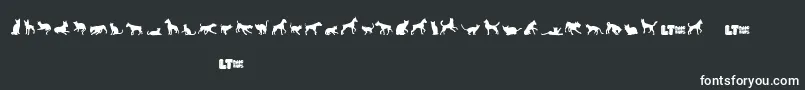 Catsvsdogslt Font – White Fonts on Black Background