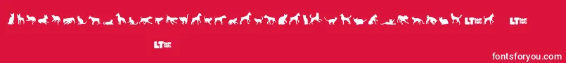 Catsvsdogslt Font – White Fonts on Red Background