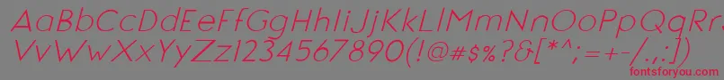 SignoriaItalic Font – Red Fonts on Gray Background