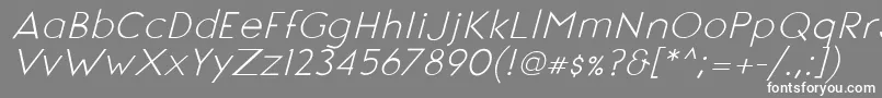 フォントSignoriaItalic – 灰色の背景に白い文字