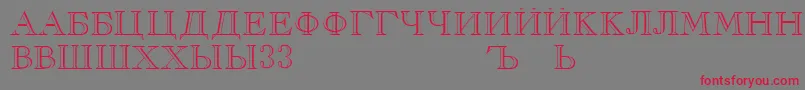 RusskijRegular Font – Red Fonts on Gray Background