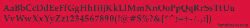 PalatinoBoldRegular Font – Black Fonts on Red Background