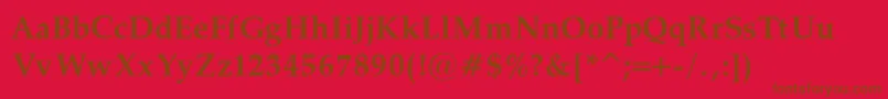 PalatinoBoldRegular Font – Brown Fonts on Red Background
