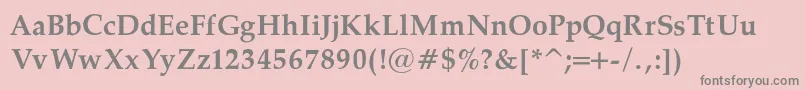 PalatinoBoldRegular Font – Gray Fonts on Pink Background