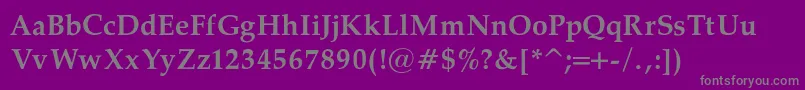 PalatinoBoldRegular Font – Gray Fonts on Purple Background