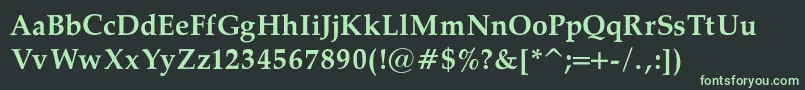 Czcionka PalatinoBoldRegular – zielone czcionki na czarnym tle