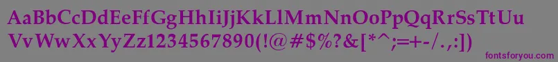 PalatinoBoldRegular Font – Purple Fonts on Gray Background