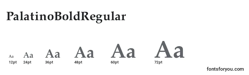 Größen der Schriftart PalatinoBoldRegular